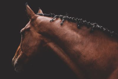 Τοιχογραφία