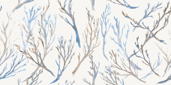 Mystical Branches in Snow