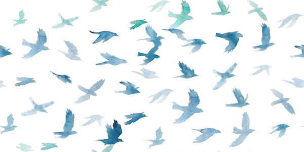 Flock of Birds