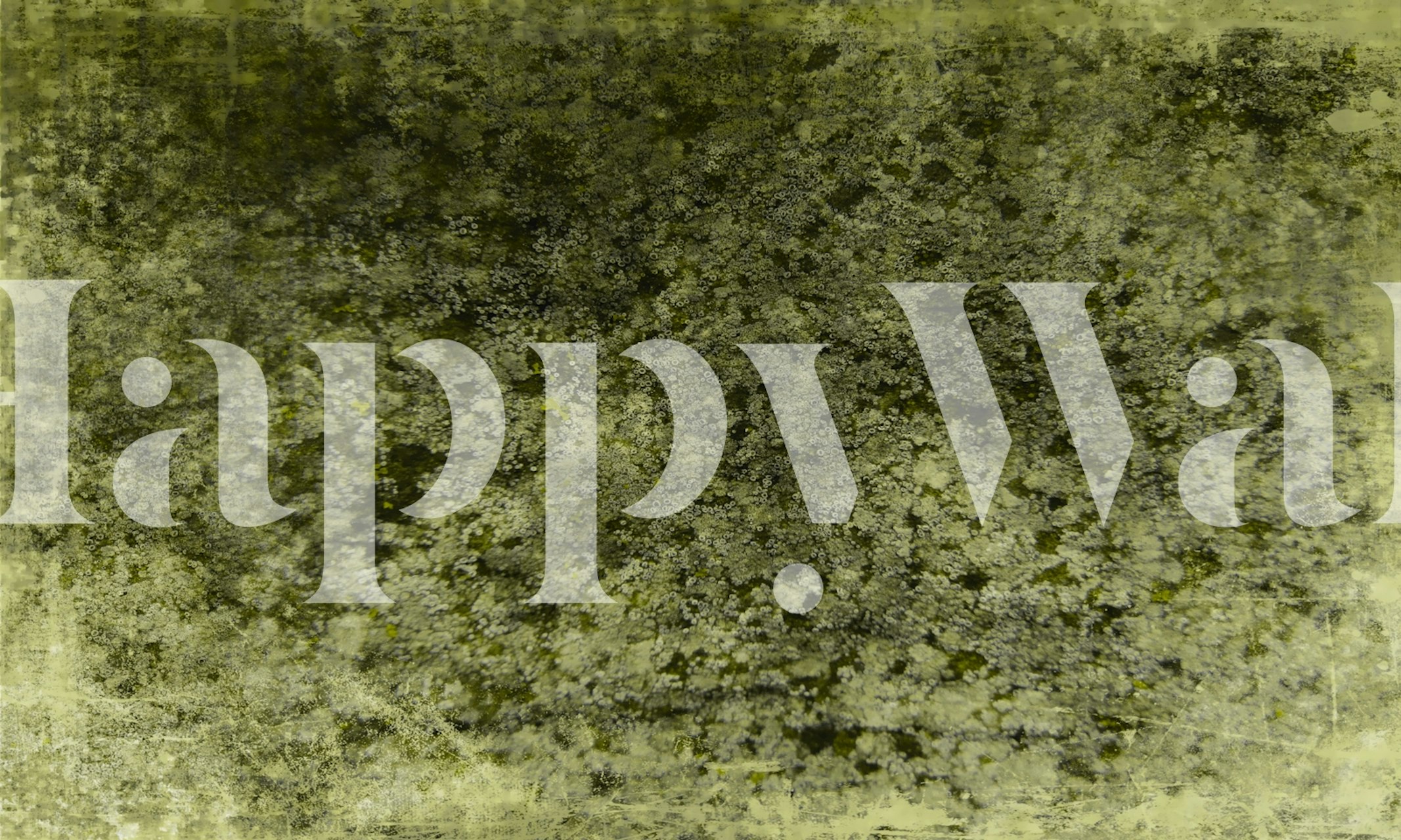 Woodland Moss Serenity-tapet i ett rum