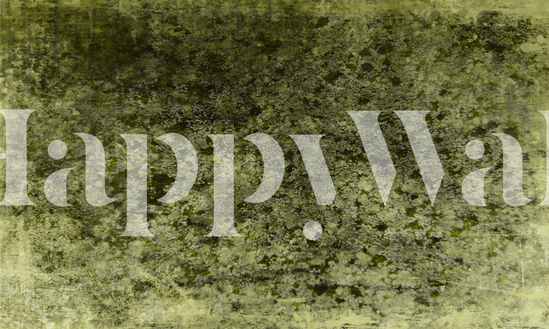 Woodland Moss Serenity wallpaper in a room