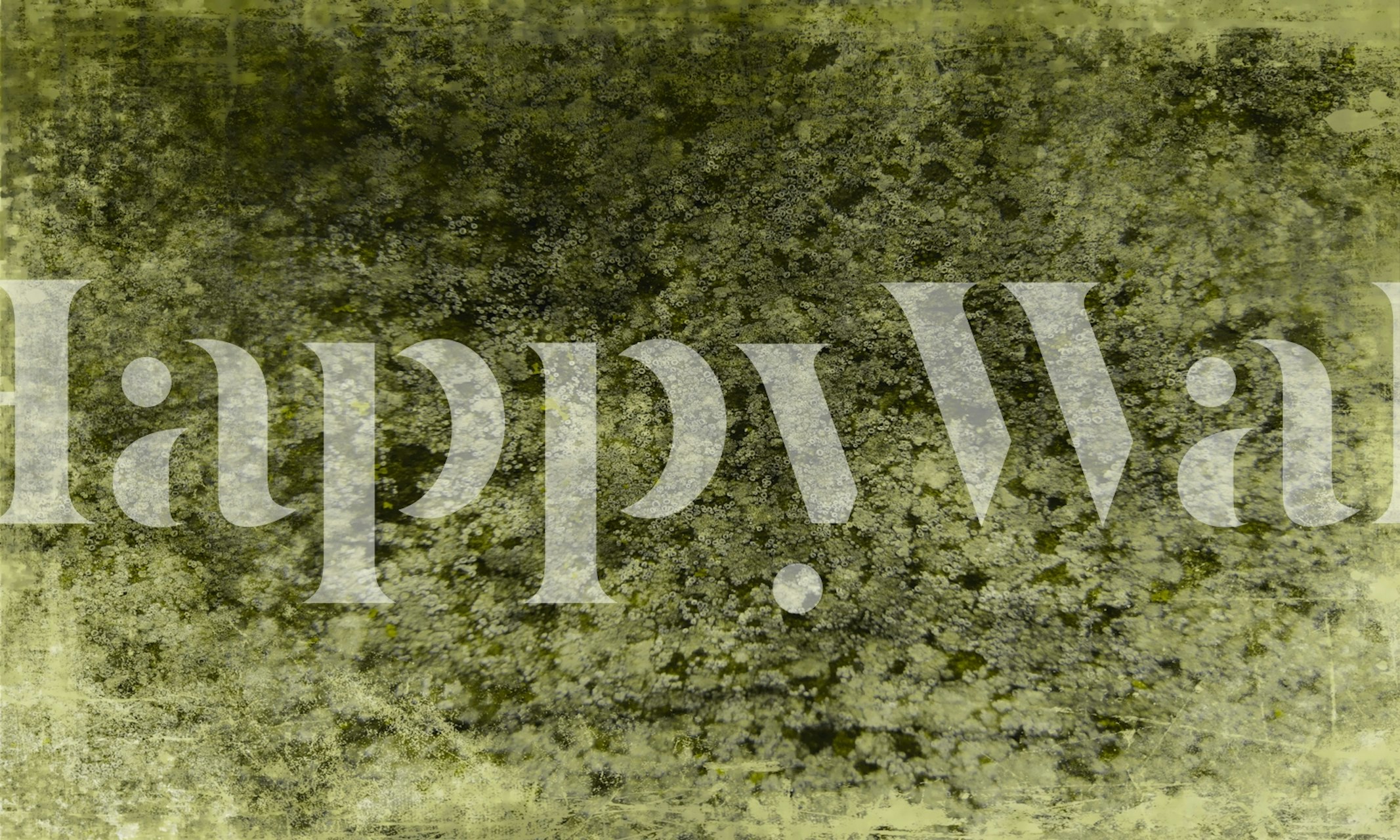 Woodland Moss Serenity wallpaper in a room