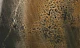 Golden Copper Luxe