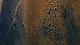 Wild Copper Elegance Texture