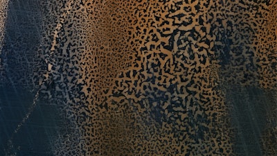 Mural
