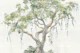 Lush Green Tree Oasis