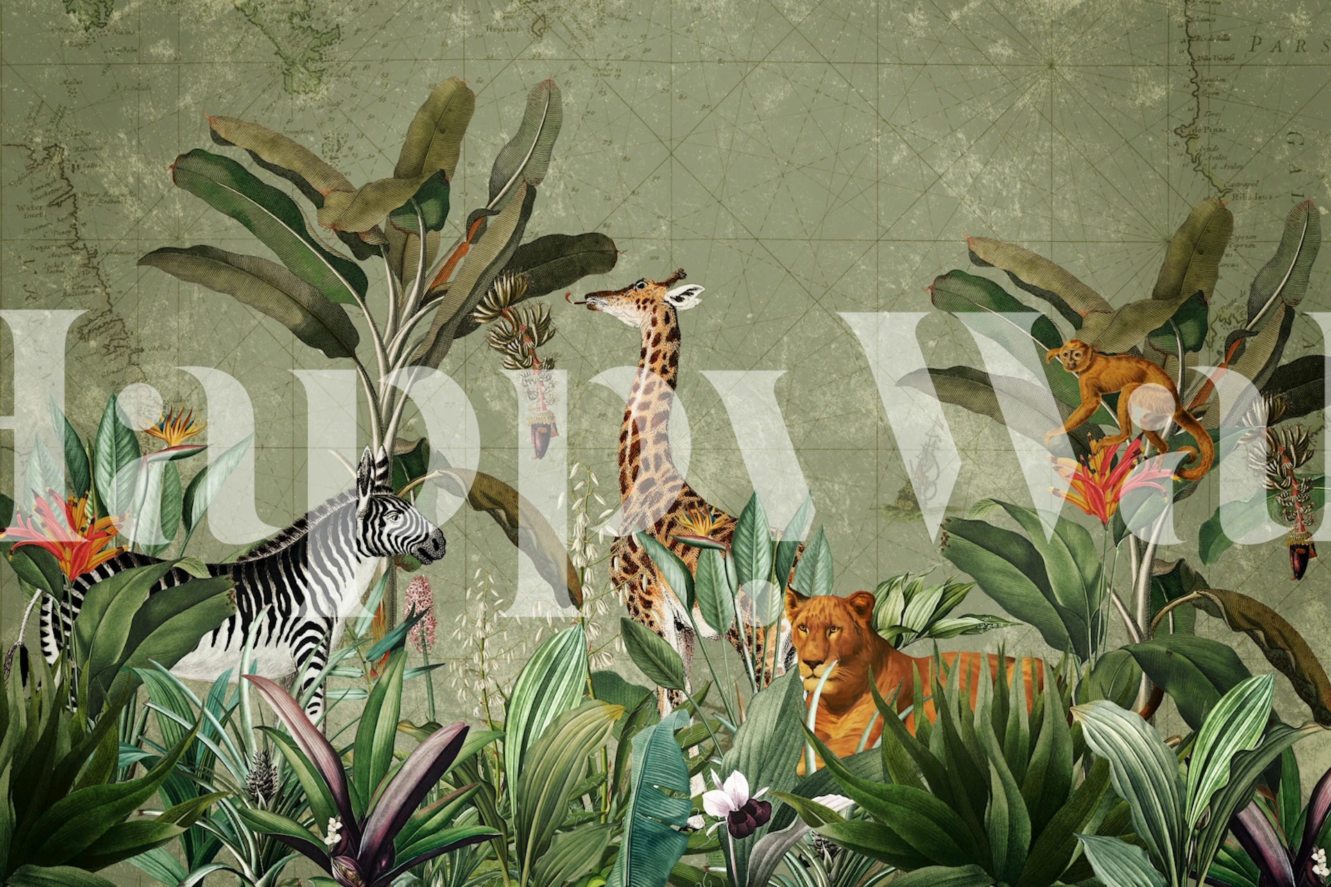 Lush African jungle wallpaper in a room