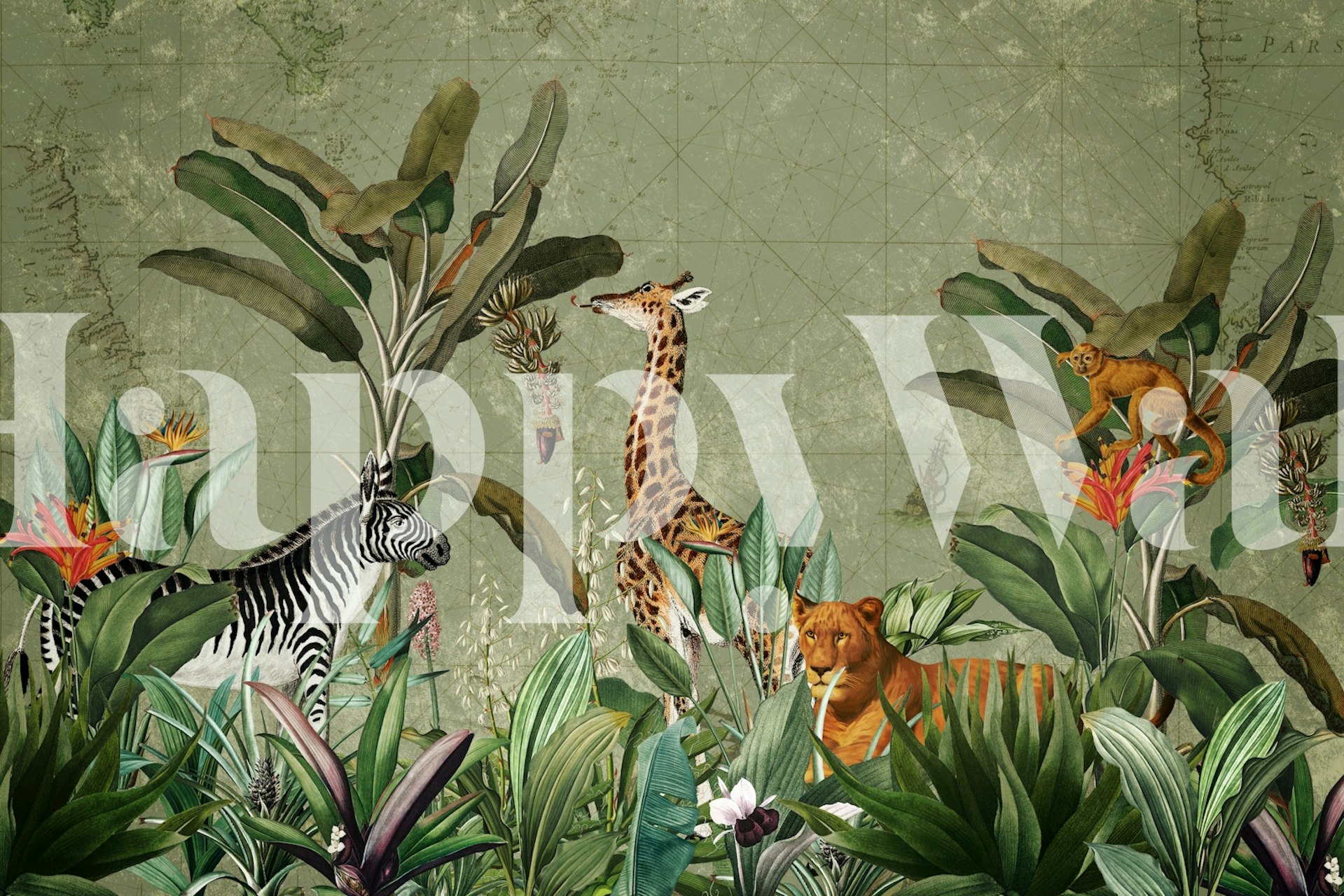 Lush African jungle wallpaper in a room