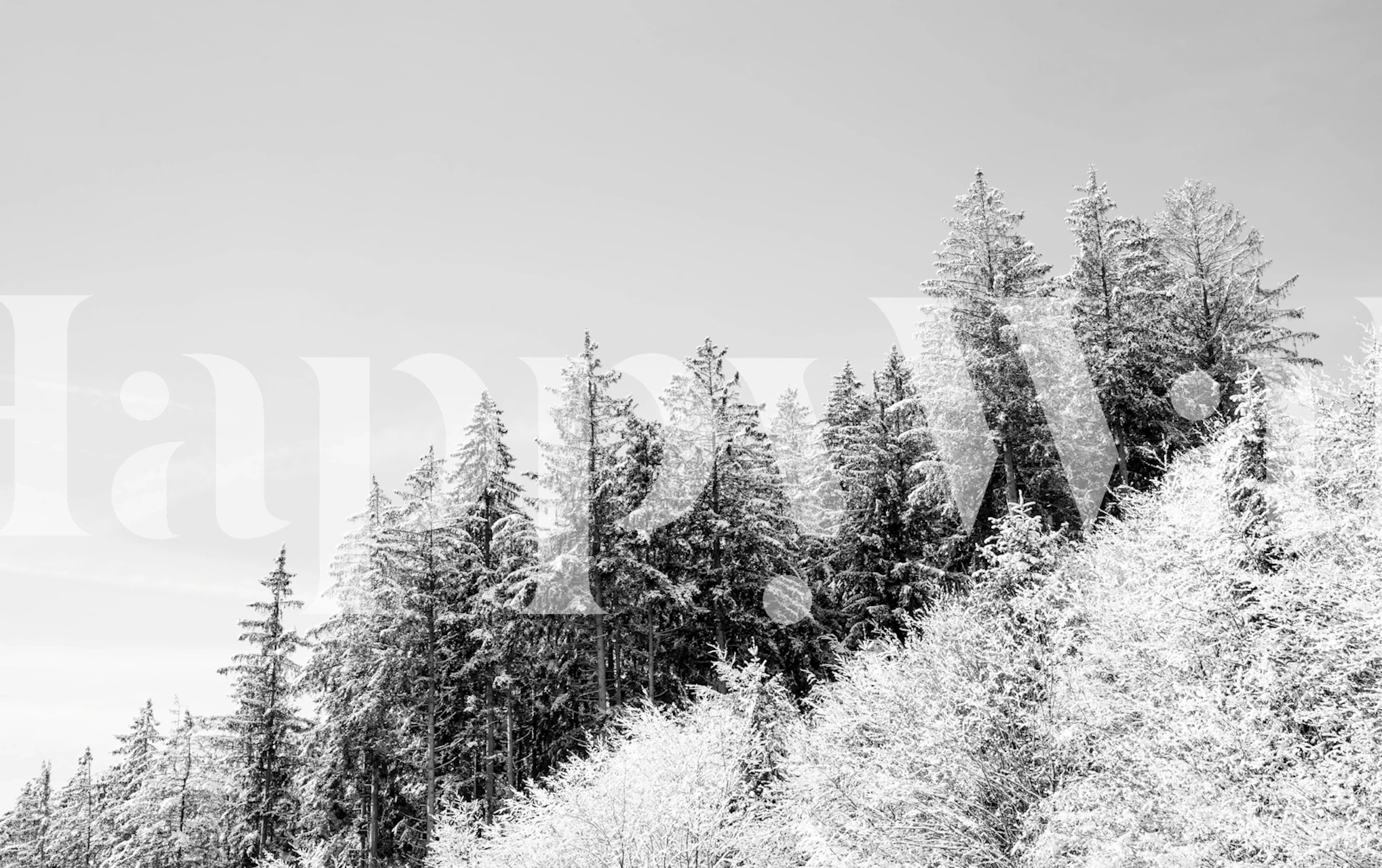 Winter Wonderland Trees Tapete in einem Raum