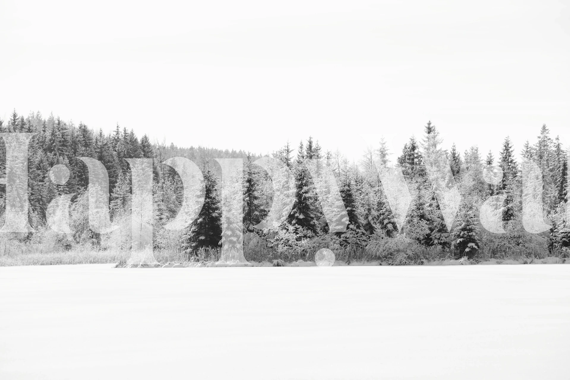 Papel de parede Snowy pine trees em um quarto