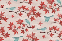 autumn maple - red tapeta