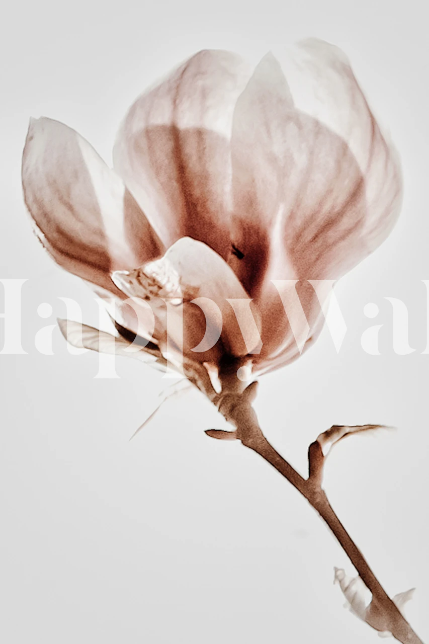 Pink magnolia flower design on light grey background wallpaper