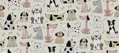 Pattern