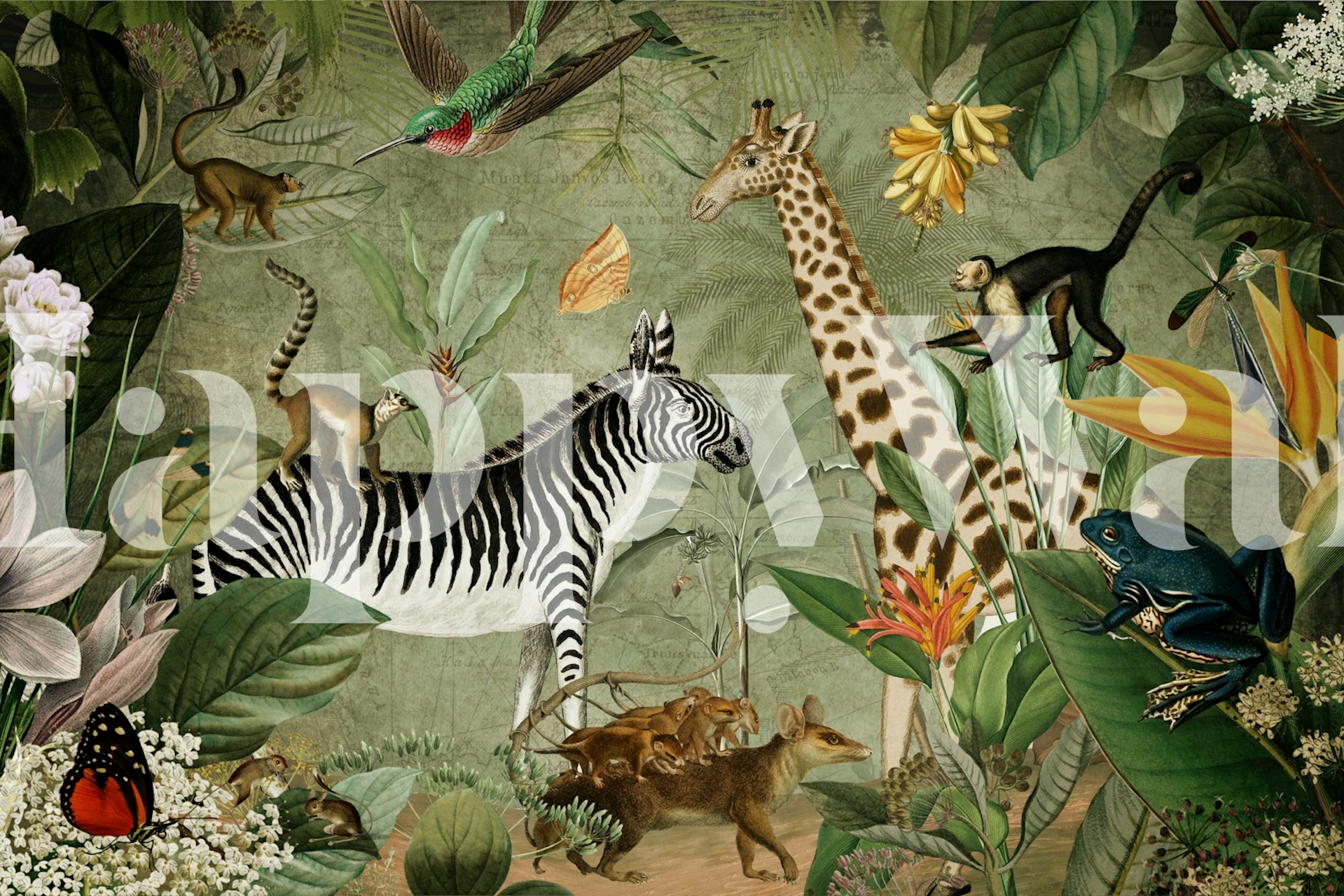 Tapeta Lush African Jungle Adventure v místnosti