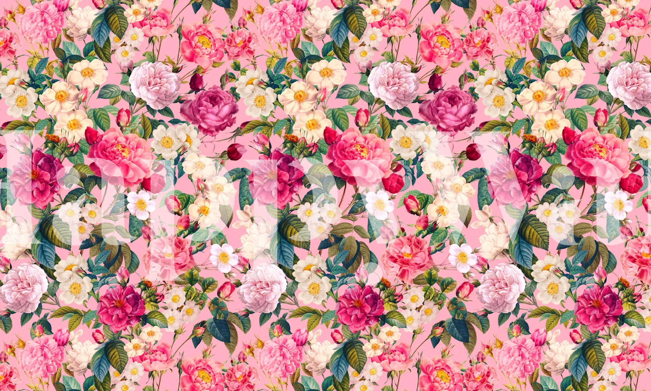 Rose Pink Garden II kukkatapetti