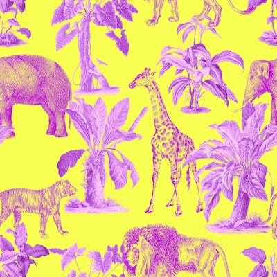 Pattern