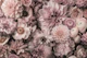 Dreamy Floral Touch Blush Pink