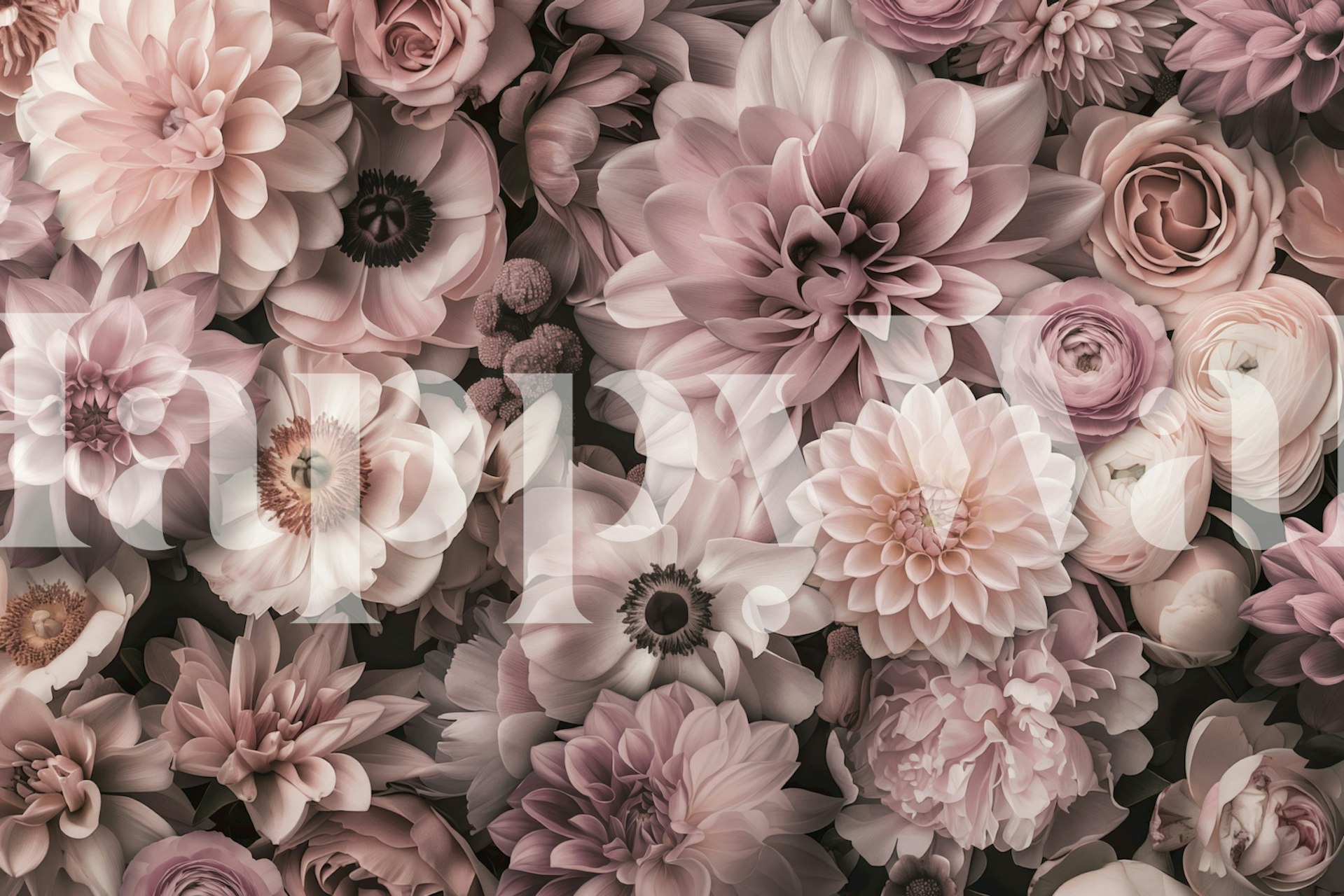 Dreamy Floral Touch Blush Pink wallpaper in a room