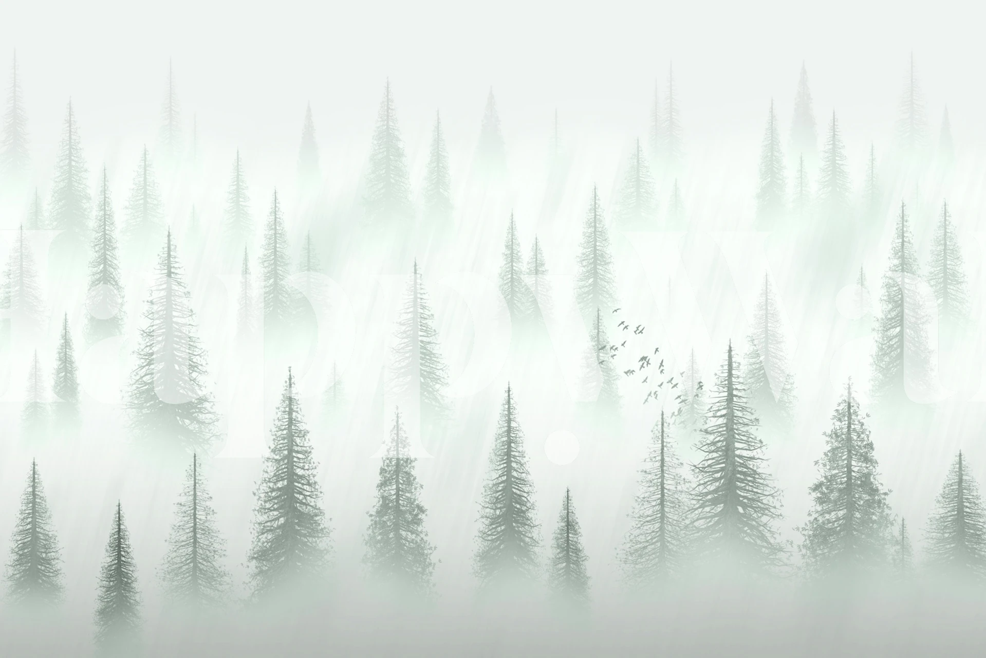 Forest serenity wallpaper in een kamer