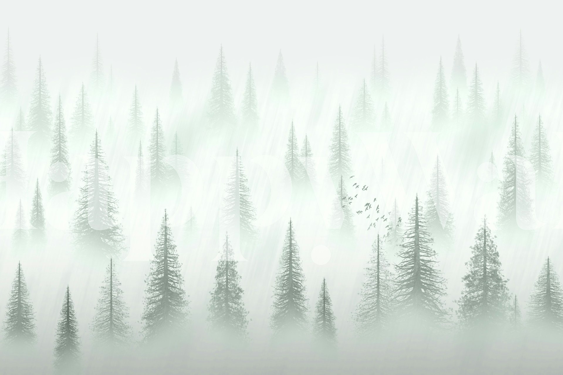 Forest serenity Tapete in einem Raum