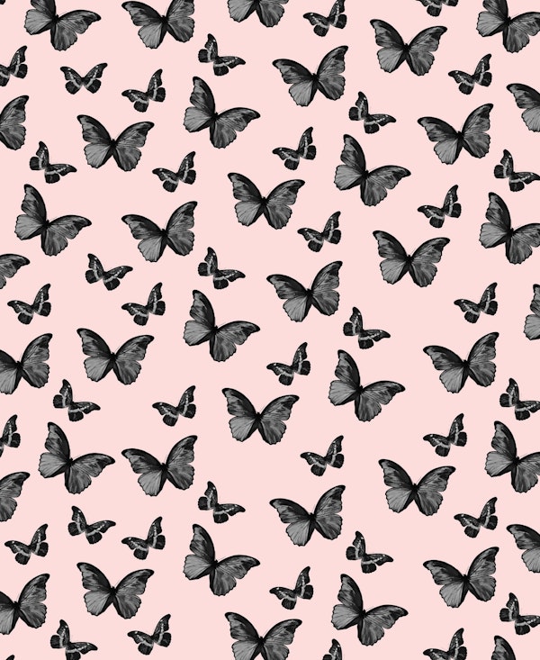 Black Blush Butterfly Glam 1