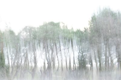 Τοιχογραφία