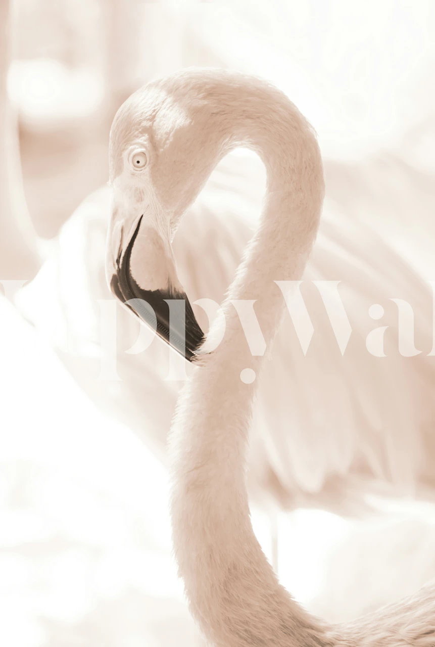 Flamingo illustration in soft peach and white hues wall mural