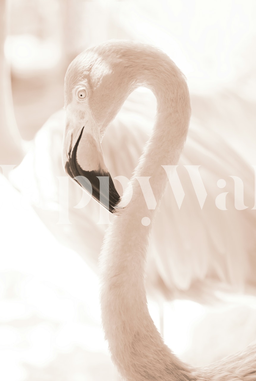 Carta da parati Curadise Flamingo 4 in una stanza