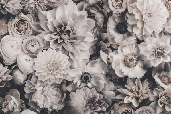 Timeless Ivory Blossom Beauty