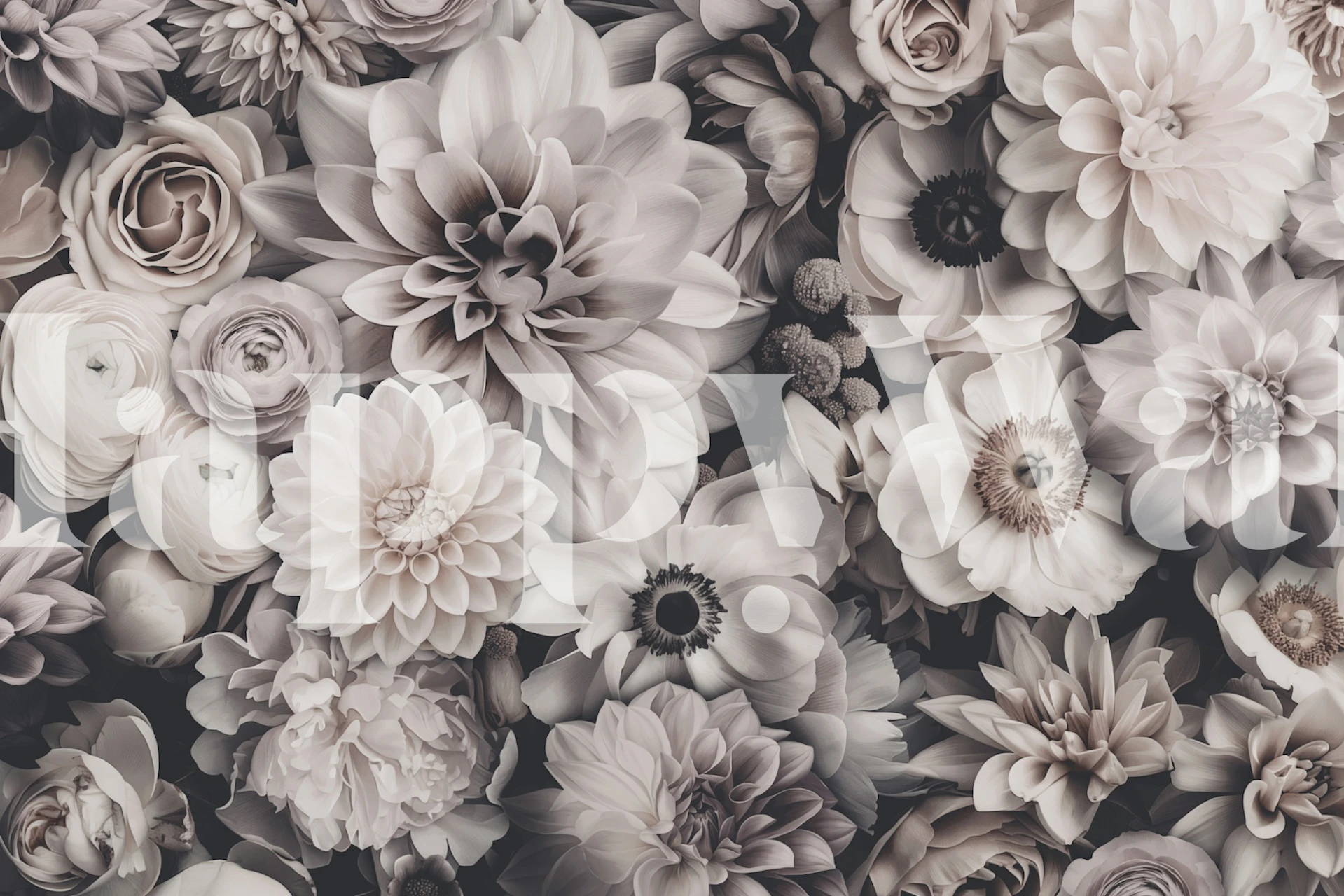 Floral patterns in shades of black and white wallpaper