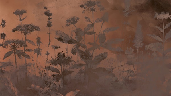 Pure Garden Botanicals Mocha Mousse