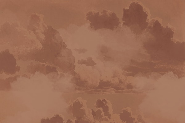 Warm Renaissance Clouds Mocha Mousse