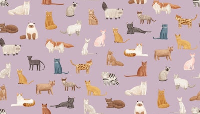 Pattern