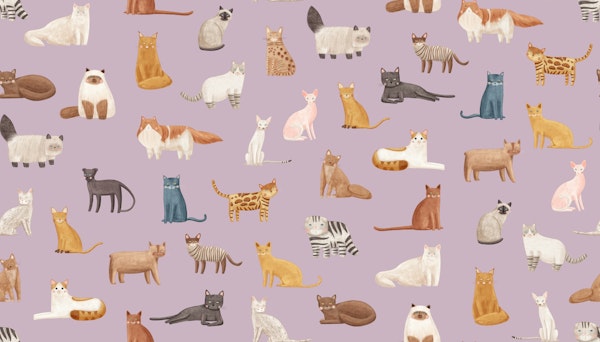 Lively Cats on Soft Purple