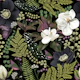 Mystical Dark Garden Botanical Black S