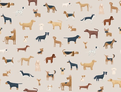 Pattern