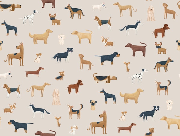 Dog Breeds Beige big scale