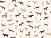Dog Breeds latte color Big scale papiers peint
