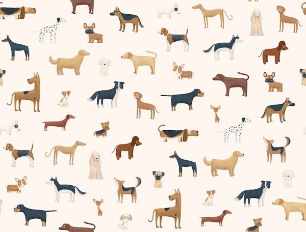 Dog Breeds latte color Big scale