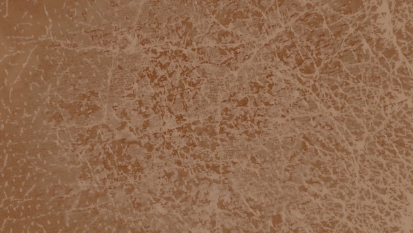 Mocha Mousse Leather Surface