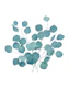 Eucalyptus Finesse 1