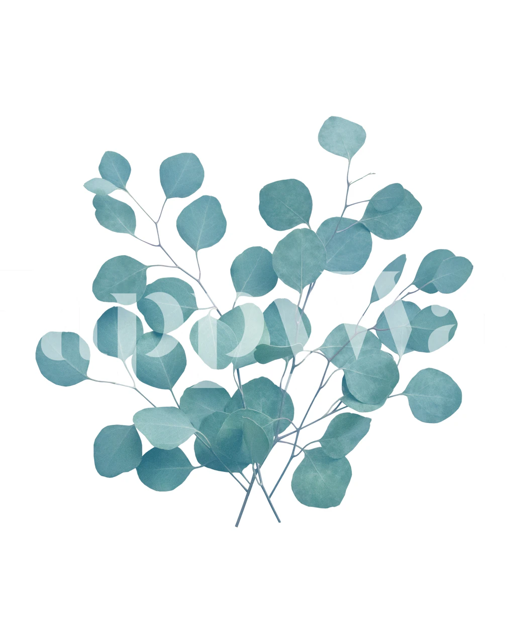 Eucalyptus Finesse 1 tapet i et rom