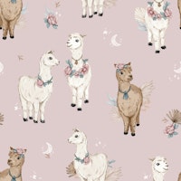 Boho Alpaca - rose tapet
