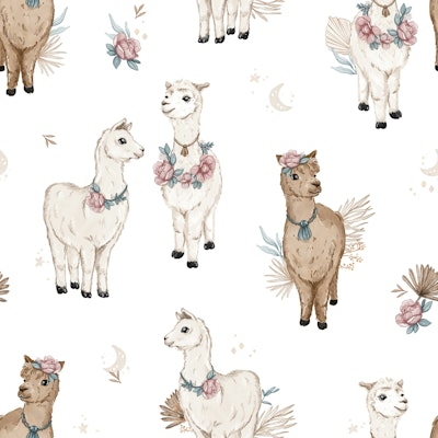 Pattern