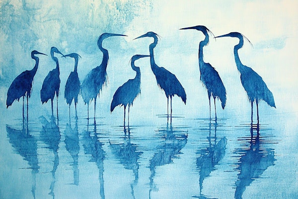 Herons and water