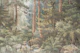 Mystical Woodland Rustic Fade Painting