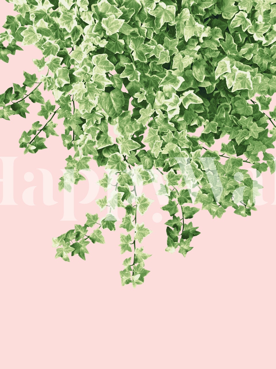 Green ivy leaves against a soft pink background wallpaper
