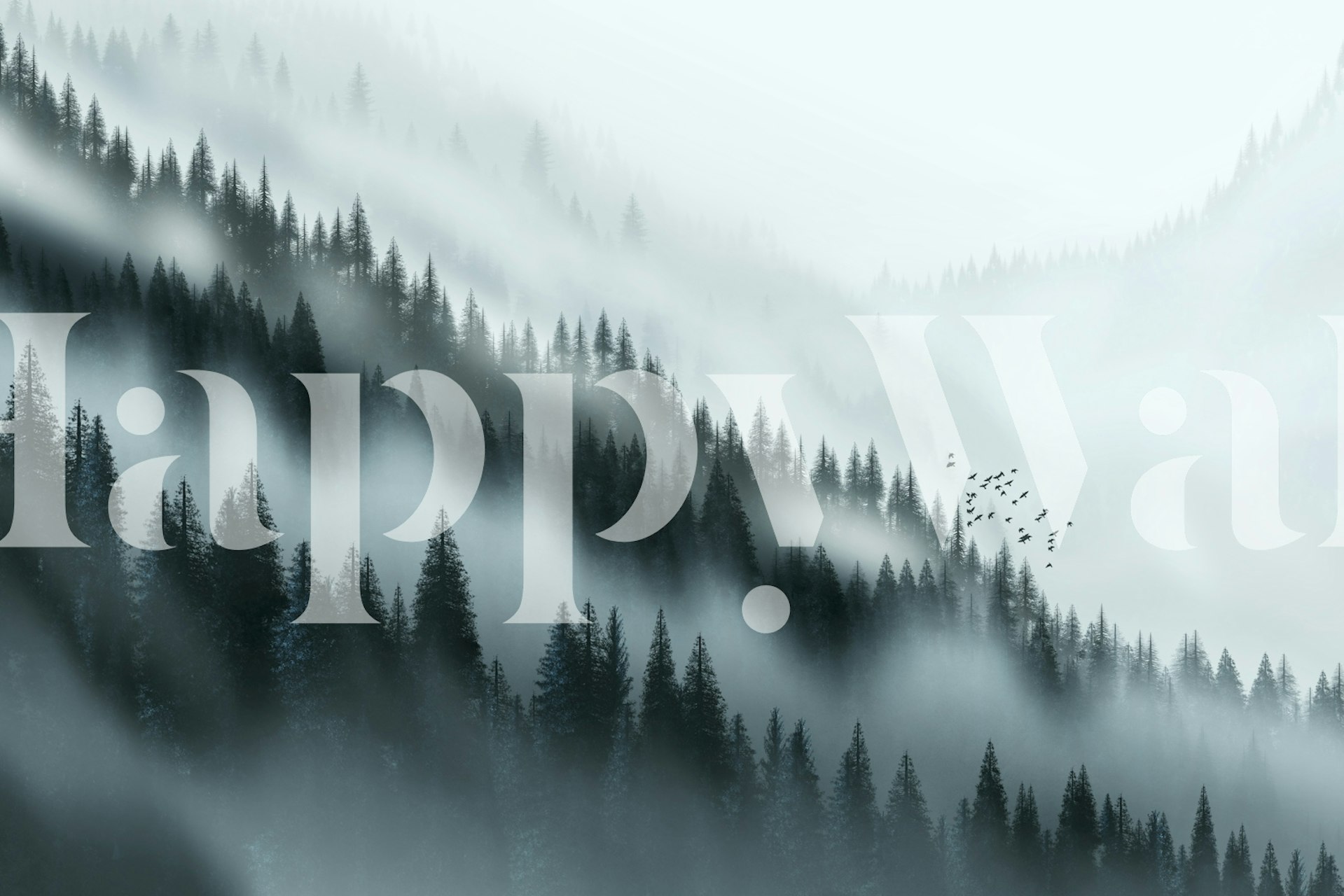 Misty forest landscape wallpaper in a room