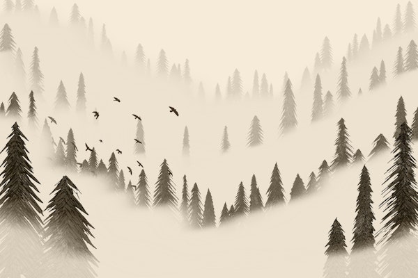 Northern Forest Sepia