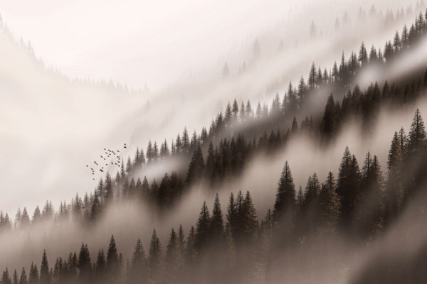 The Enchanted Valley Sepia